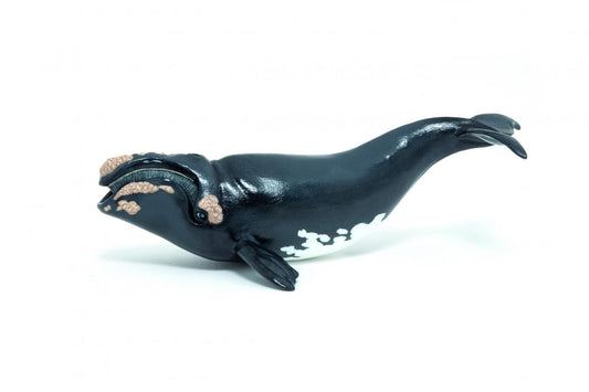 PAPO FIGURINA BALENA - Imagine 1 [ps:5e52ff28-f0d9-4a13-91a6-96ec2cae7bea]