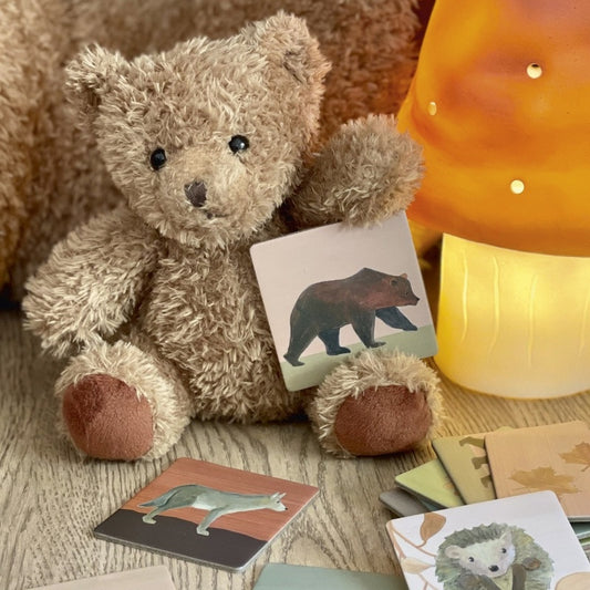 Joc memo Padure, Egmont Toys - Imagine 2 [ps:d3f83c75-c2ec-4074-ab89-33d05f132761]