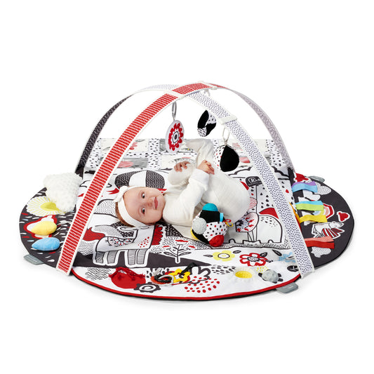 SALTEA DE JOACA EDUCATIONALA KINDERKRAFT 4SMART - Imagine 9 [ps:dfa45a67-fb79-439d-80cf-fdc16273aed9]