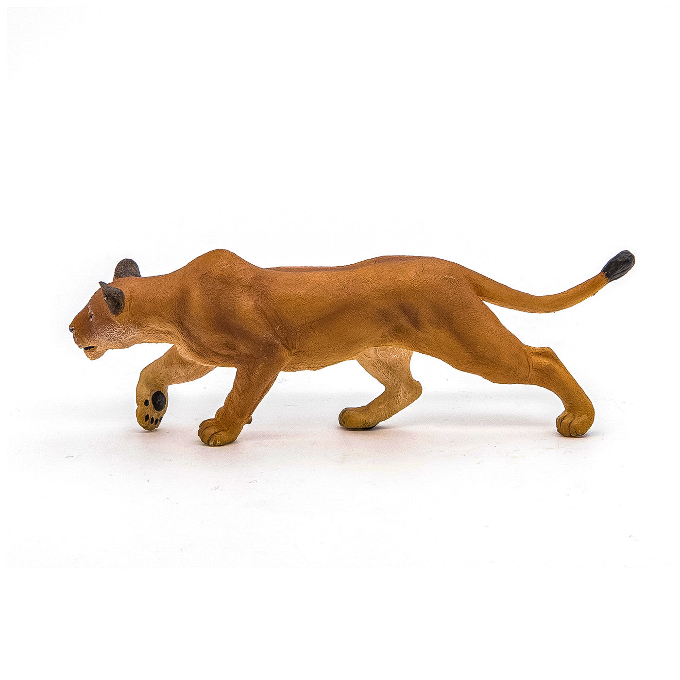 PAPO FIGURINA LEOAICA LA VANATOARE [ps:1ed94cf6-c956-4726-9df8-4c1b0a0a1e0b]