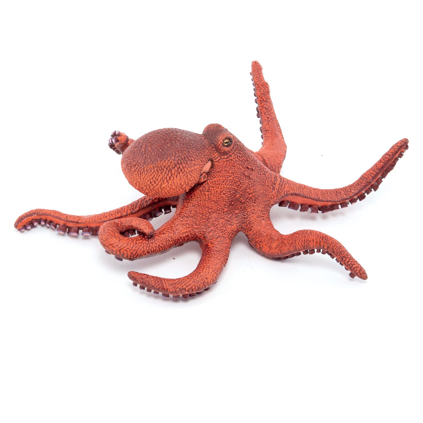 PAPO FIGURINA CARACATITA MICA - Imagine 7 [ps:464eac91-caaa-4f97-ae3f-6d77ad932d1b]