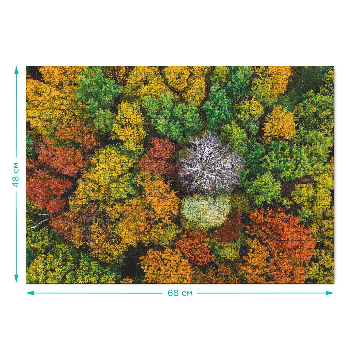 Puzzle Culorile Padurii 1000 piese Dodo Toys - Default Title (2) [ps:f0f16336-7bd5-4dfb-9e28-c6c6d25077ff]