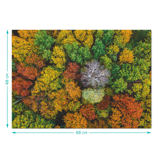 Puzzle Culorile Padurii 1000 piese Dodo Toys - Default Title (2) [ps:f0f16336-7bd5-4dfb-9e28-c6c6d25077ff]