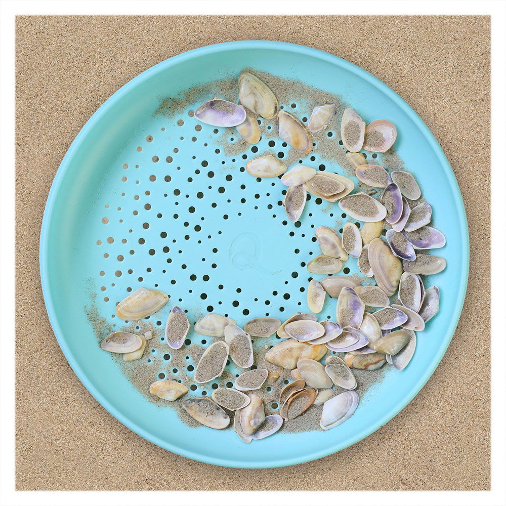 Disc Frisbee și Sită pentru Nisip Quut Toys - Albastru (2) [ps:f1949ca1-3996-4cc0-b0e8-ad9bbc129a46]
