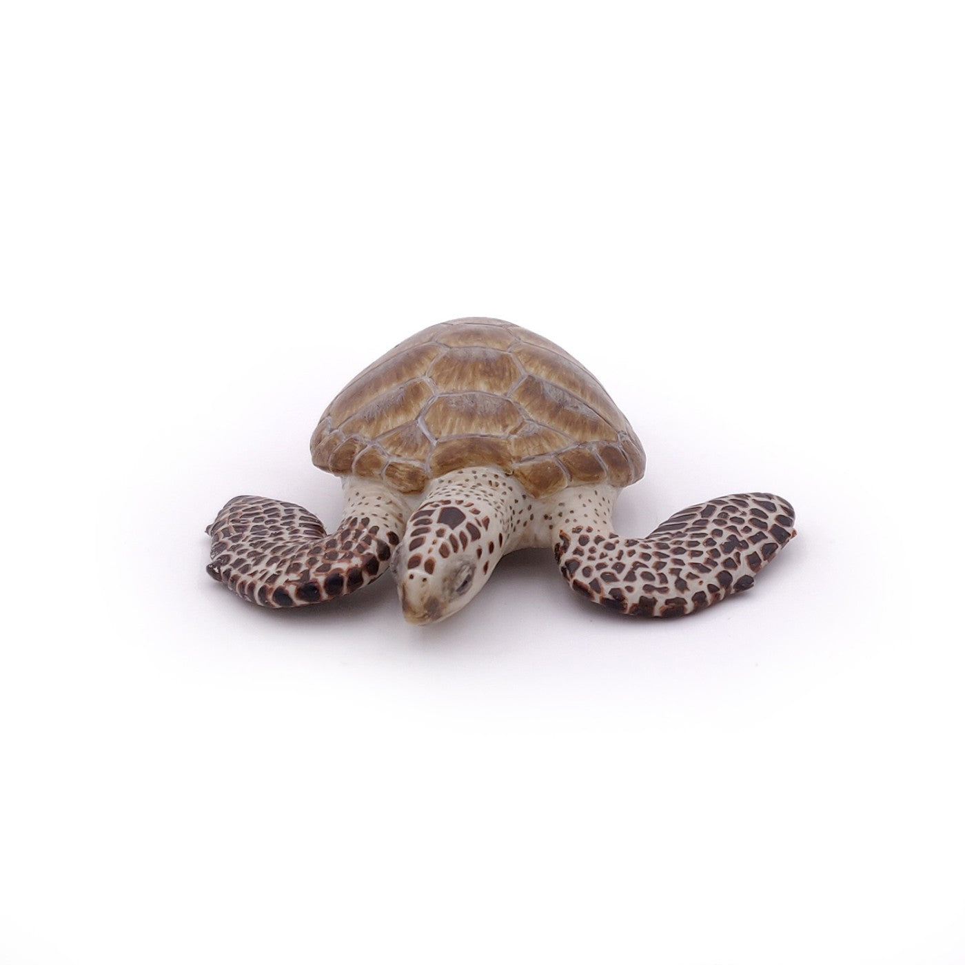 PAPO FIGURINA BROASCA TESTOASA DE MARE - Imagine 4 [ps:8bc85053-2f45-4dbd-a16d-a0653c0b0689]