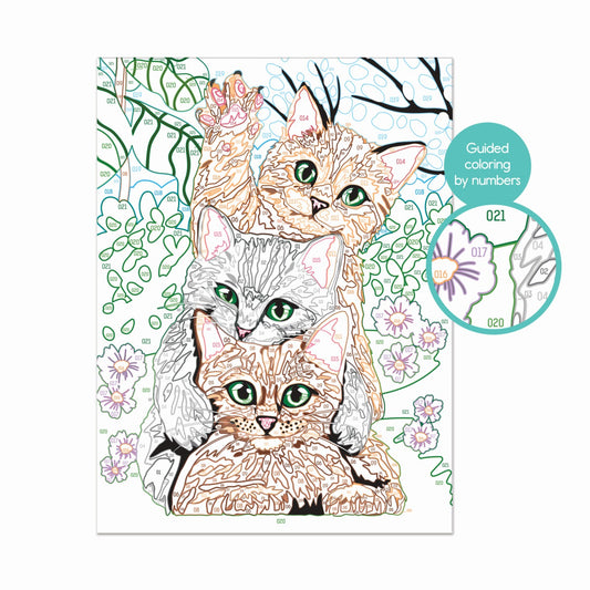 PICTEAZA SI INRAMEAZA PISICI AMUZANTE AS - Imagine 5 [ps:4bb9158e-11dd-4da0-bf22-3e436d057628]
