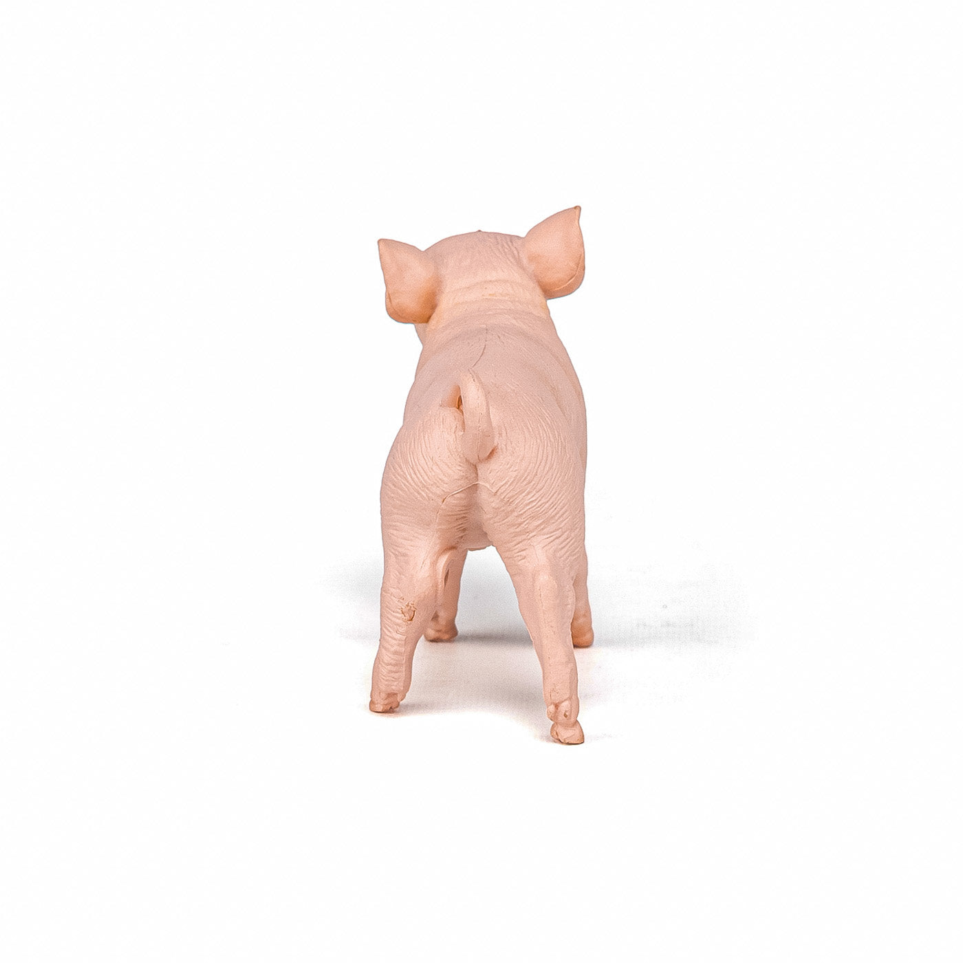 PAPO FIGURINA PURCICA - Imagine 7 [ps:af5003a5-699c-4859-8cd4-c48edf4301cd]