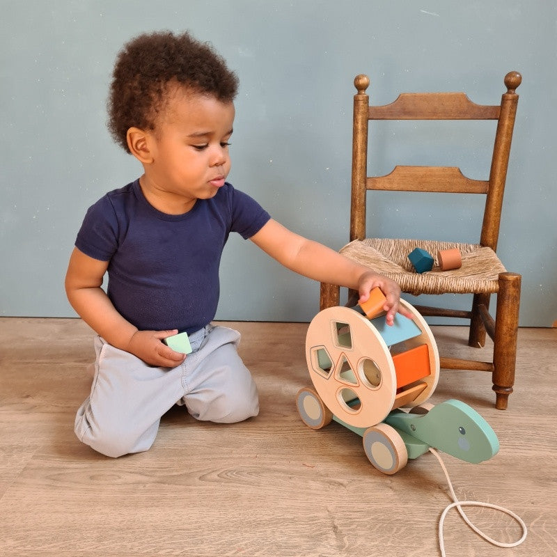 Jucarie de tras cu forme geometrice, Egmont Toys - Imagine 2 [ps:9c5cfaa3-15b9-4fc1-9357-14645692e111]