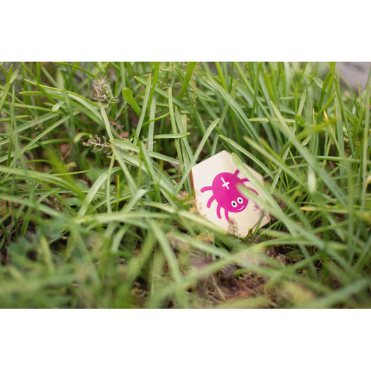 Insecte - Joc de cautare activa, BS Toys [ps:622748f0-d44e-421b-88ee-9b57733dcd65]
