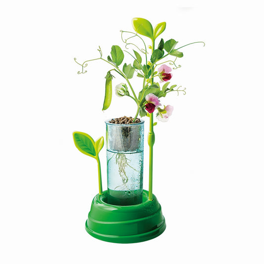 GRADINA MEA STIINTA JOACA AS - Imagine 4 [ps:a431658d-ed72-42bd-8118-e2cdf56d6c77]