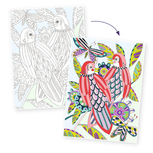Mapa cu 3 postere de colorat Pasari, Djeco - Imagine 4 [ps:22d3e5ef-a823-40d2-a195-060b803c5575]