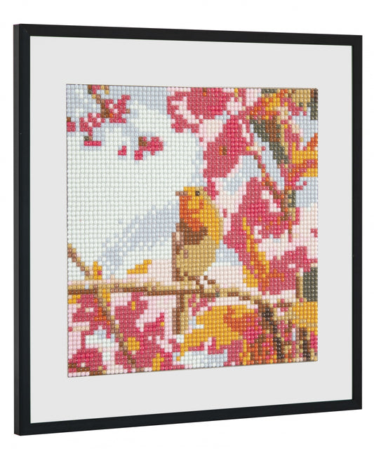 Set Pictură cu Diamante Păsări Craft Sensations - Craft ID - Default Title (2) [ps:eaee0058-7ea7-4a07-a9aa-5413d5f4589e]