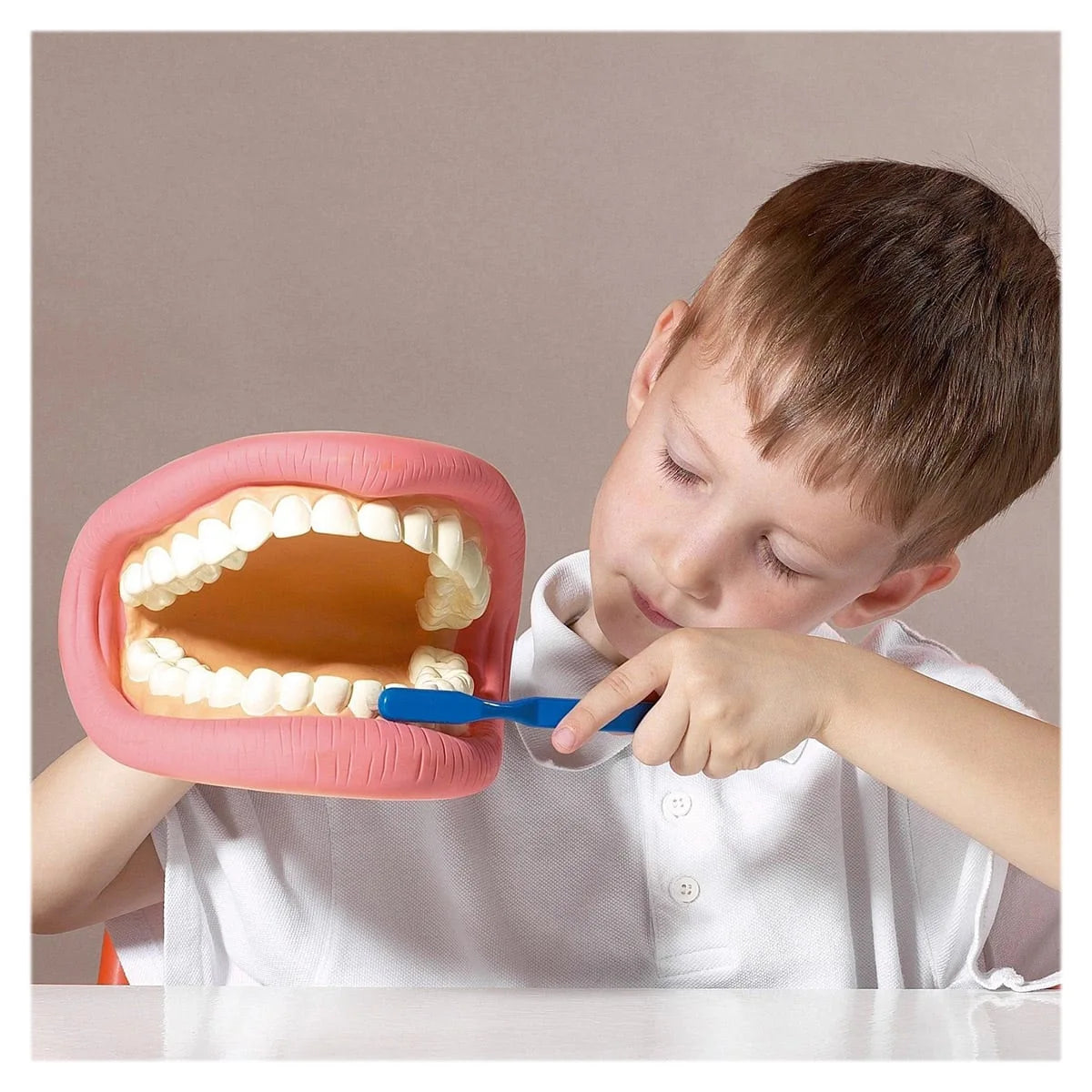 Model Dentar Demonstrativ Tickit - Jucărie de Medic - Default Title (2) [ps:f2e22b15-f681-4024-abd8-31ed799644cc]
