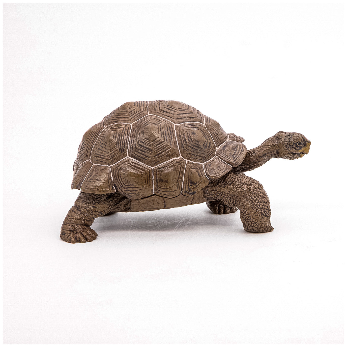 PAPO FIGURINA TESTOASA GALAPAGOS - Imagine 2