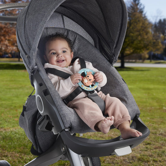 FISHER PRICE JUCARIE ZORNAITOARE SALAMANDRA Mattel - Imagine 3 [ps:1ff93993-c30e-450d-8a3a-71bf279278db]