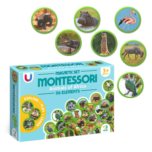 Set Magnetic Montessori Animale Africa - Dodo Toys - Default Title (2) [ps:f41f484f-0969-477e-bb3a-df1ace789090]