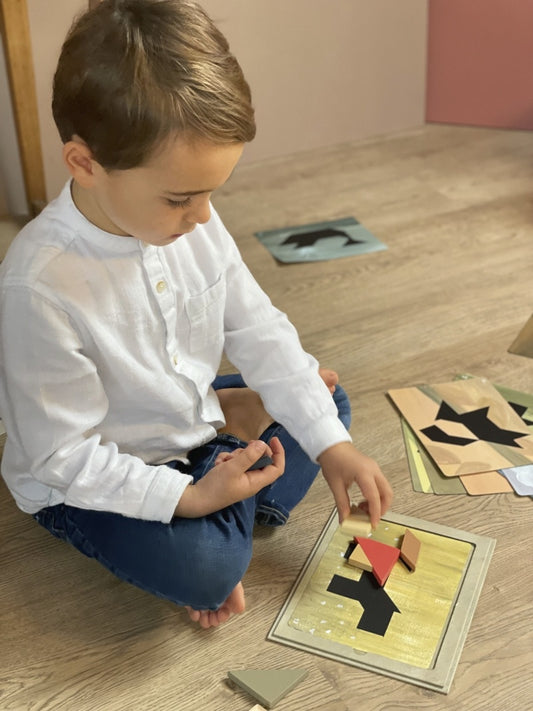 Jocuri magnetice Tangram, Egmont Toys - Imagine 3 [ps:1811c279-0e24-4f2d-948b-5f11d675b0d9]