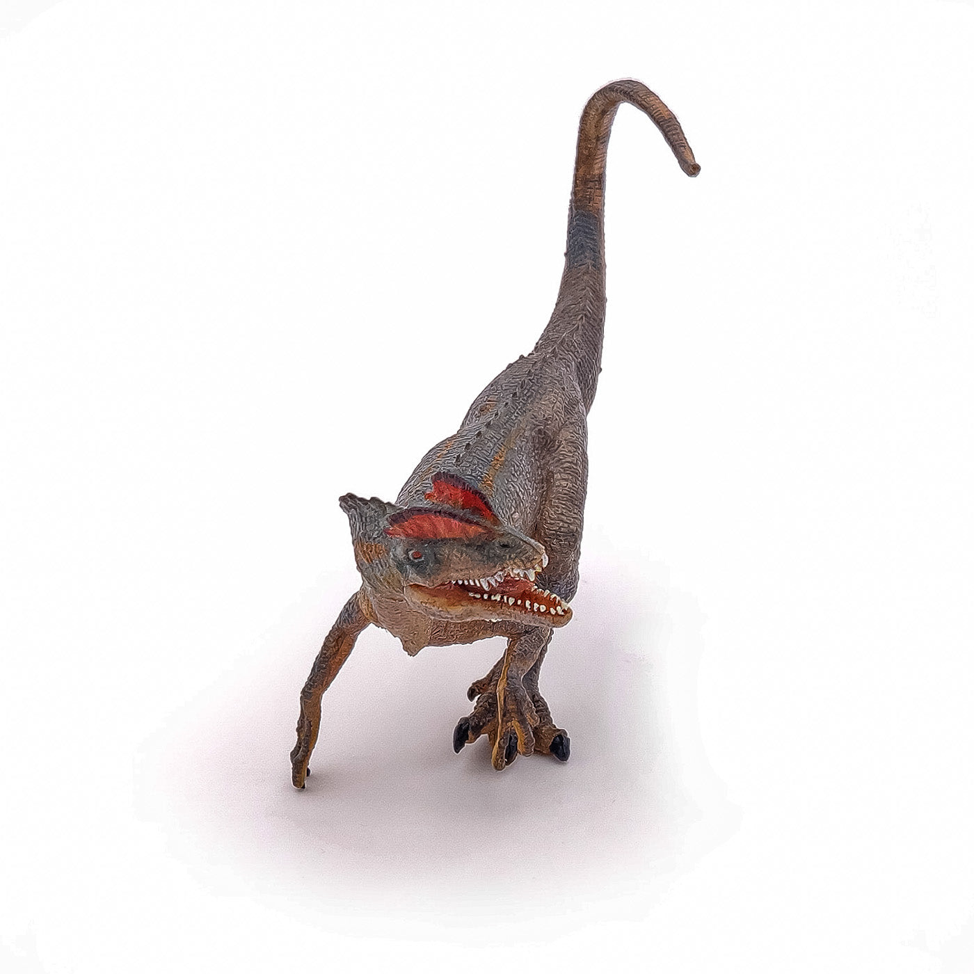 PAPO FIGURINA DILOPHOSAURUS DINOZAUR - Imagine 3 [ps:e44501e6-f9c3-4989-90bd-96e910809a20]