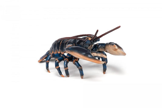 PAPO FIGURINA HOMAR - Imagine 4 [ps:df3f590c-307d-40d3-a56b-bed86183e76d]