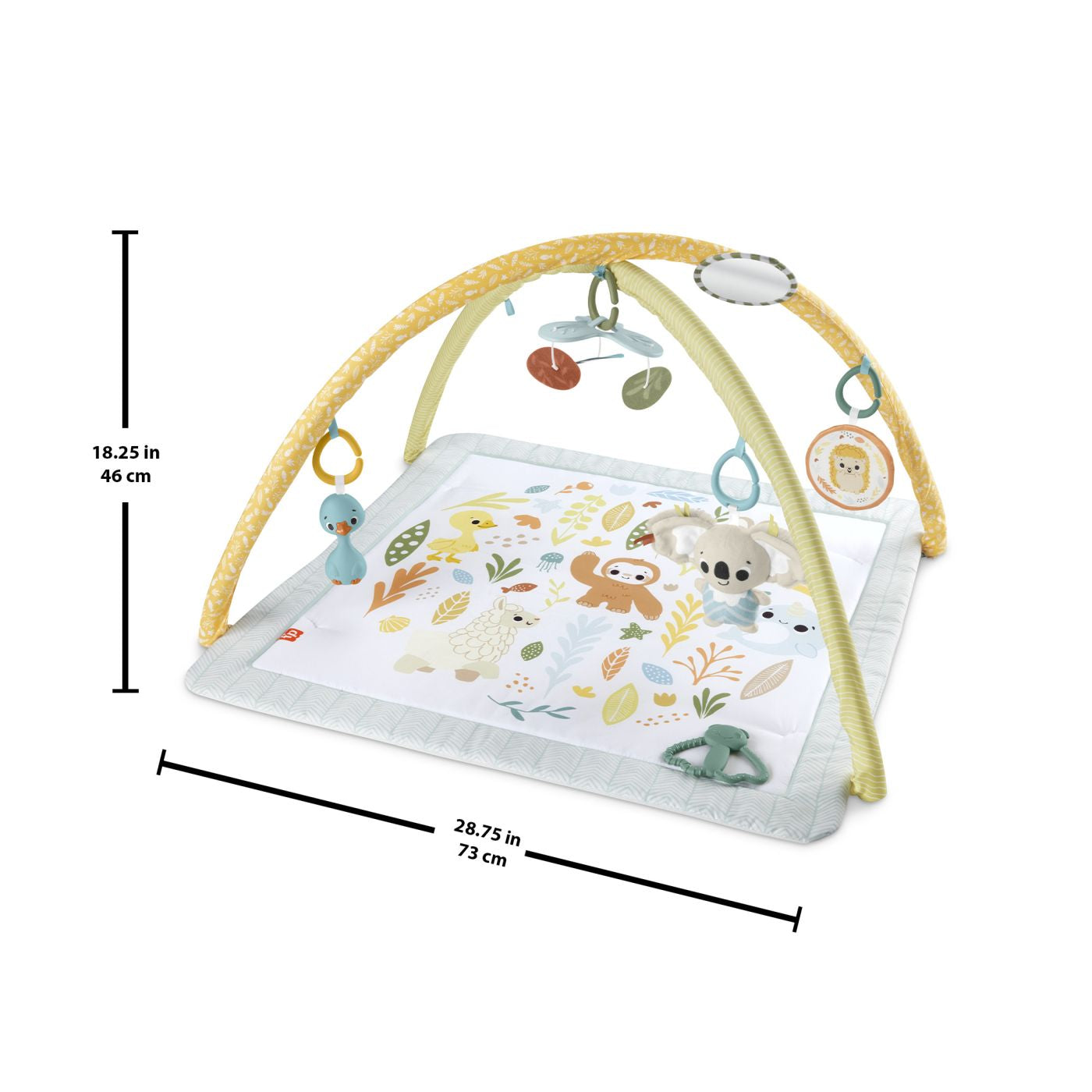 FISHER PRICE SALTELUTA DE GIMNASTICA PENTRU NOU NASCUTI - Imagine 2