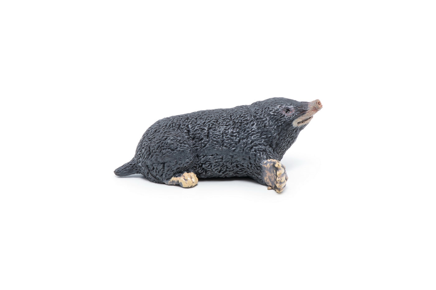 PAPO FIGURINA CARTITA - Imagine 2