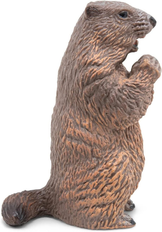 PAPO FIGURINA CASTOR - Imagine 4 [ps:c11e266c-1c31-4890-b6b1-78cc79db9cb2]