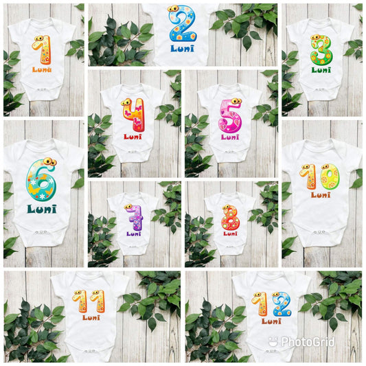 Set 12 body-uri cu lunile bebelusului Drool - Imagine 2 [ps:325d5bc7-6568-495c-a006-516150bb4e67]