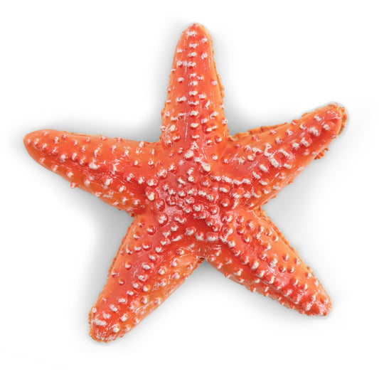 PAPO FIGURINA STEA DE MARE - Imagine 2 [ps:e0c19629-cc60-4b5b-9f59-0aa07e3eade3]