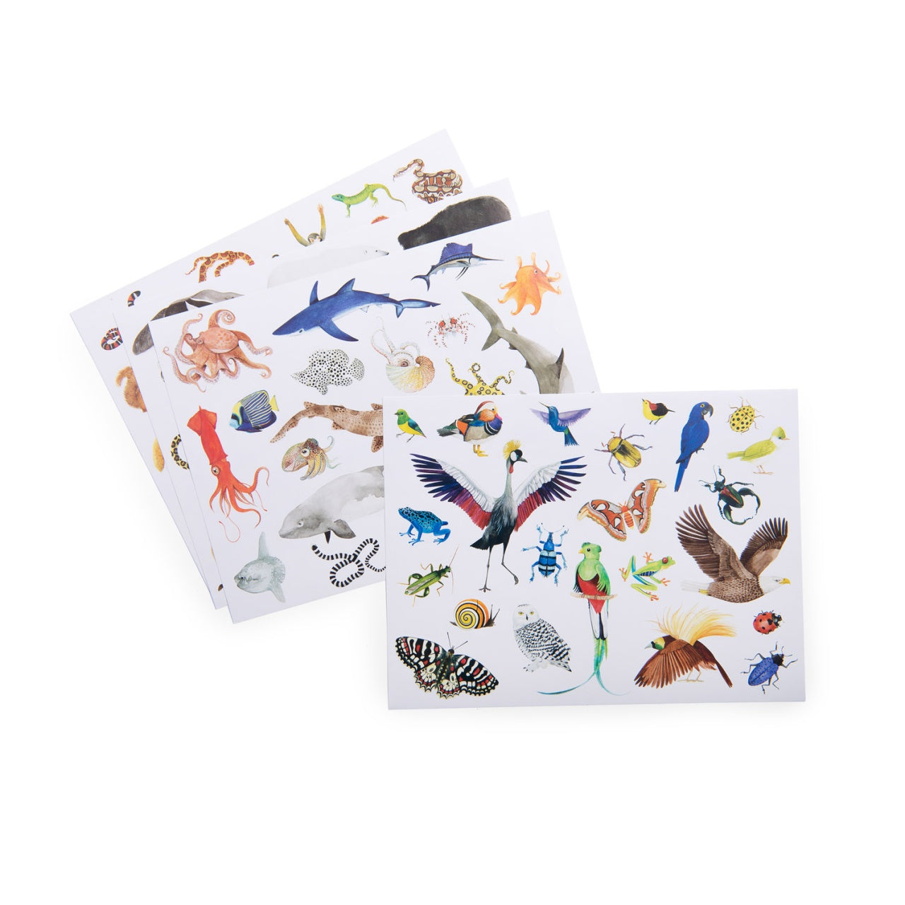 Abtibilduri repozitionabile Animale din lume, Moulin Roty - Imagine 2 [ps:a5d1a4c5-9800-407c-8995-31a549b699ff]