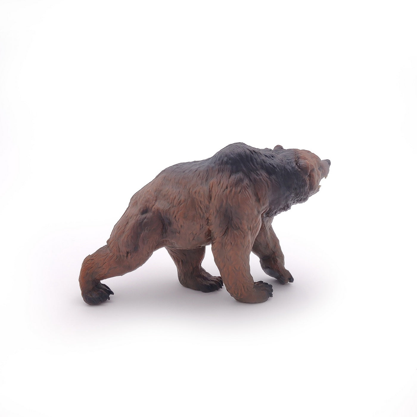 PAPO FIGURINA URS PREISTORIC - Imagine 5 [ps:2ebe3d9f-4fd9-4ed0-8fce-9738792e3605]