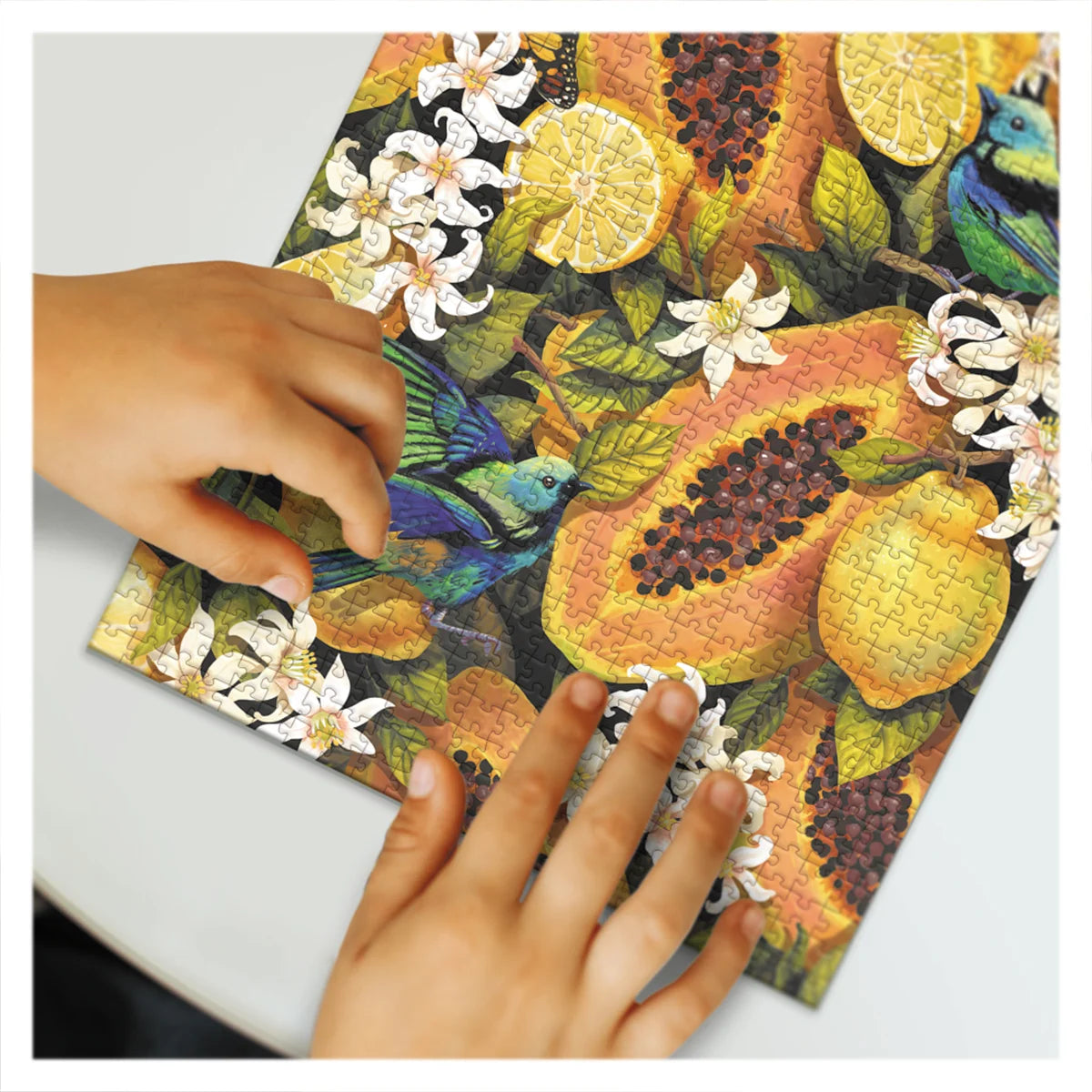 Puzzle Botany Tropical Fruits Dodo Toys, 770 piese - Default Title (2) [ps:a78fffc6-8857-4299-978a-cb3b9ea8c19d]