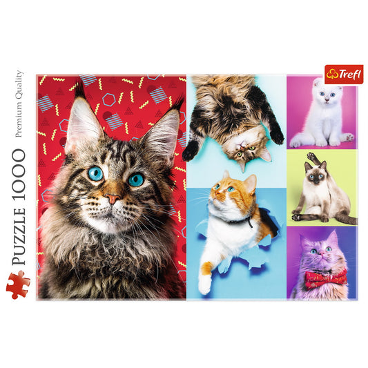 PUZZLE TREFL 1000 PISICUTE FERICITE - Imagine 3 [ps:4ca467cc-ef1a-45ac-887e-7d6ae22a945c]