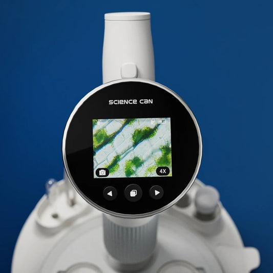 Joc STEM Microscop digital cu ecran integrat, TopBright - Imagine 4 [ps:ead48a96-5c3f-4872-997a-bf320afe0f44]
