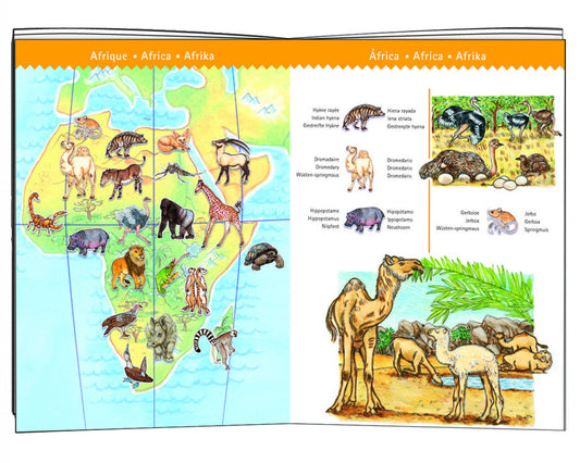 Puzzle observatie Animalele lumii, Djeco - Imagine 2