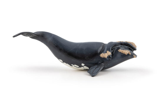 PAPO FIGURINA BALENA - Imagine 3 [ps:40776760-3463-4ee1-ab9a-264b830d7185]