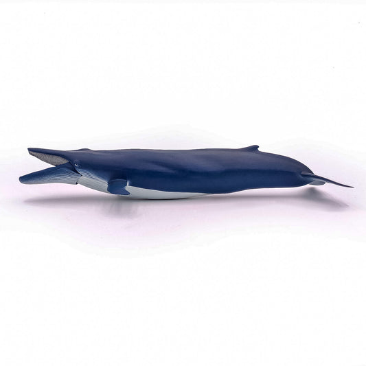 PAPO FIGURINA BALENA ALBASTRA - Imagine 2
