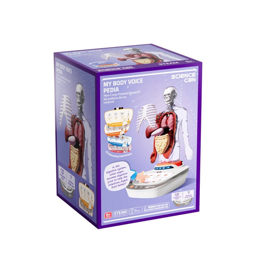 Joc STEM Anatomia umana, TopBright TopBright ScienceCan - Imagine 2 [ps:23d4e2e7-a60f-4ab4-ad5b-38769b828c4d]