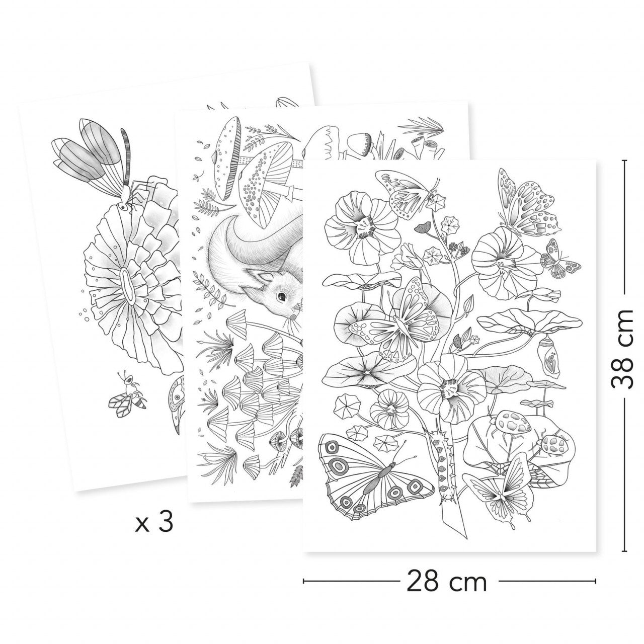 Mapa cu 3 postere de colorat Natura, Djeco - Imagine 2 [ps:5dcb87be-558e-4799-9950-822b200369ae]