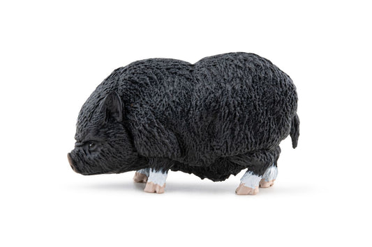 PAPO FIGURINA PORC VIETNAMEZ - Imagine 6 [ps:6317ccd4-104a-45d0-8789-3267e07cc0b4]