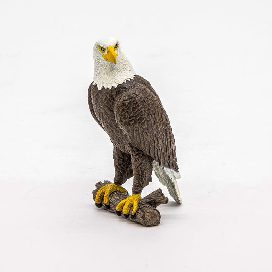 [ps:3687d687-d574-4740-a8ab-d416f338de4f]