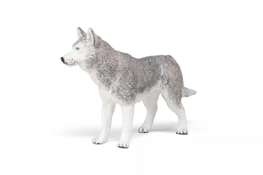 PAPO FIGURINA HUSKY SIBERIAN - Imagine 5 [ps:67588825-44f6-4f55-8ce8-9d2f03bcbbfd]