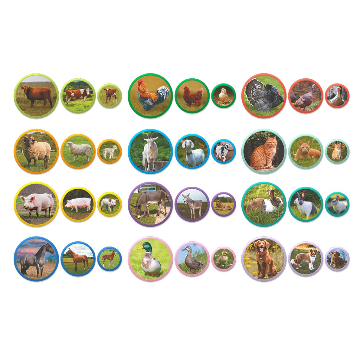 Set Magnetic Montessori Familii Animale - Dodo Toys - Default Title (2) [ps:9f58c146-2aa2-431f-8702-a0ac60eee52d]