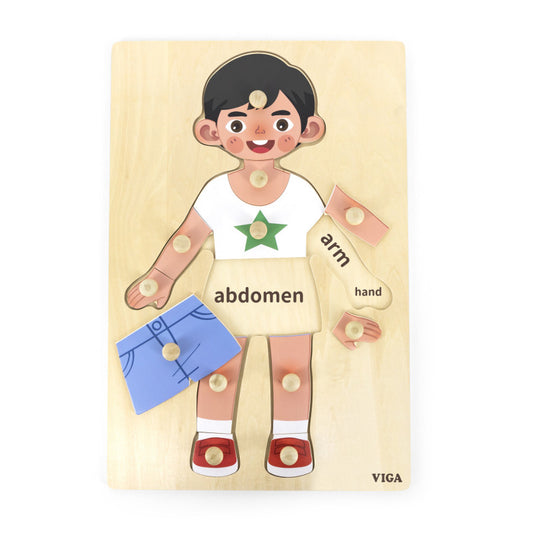 Puzzle Corpul uman - Baiat（12 piese), Viga [ps:99f56fb0-ac89-4ff0-9aa3-76cfa84fc400]