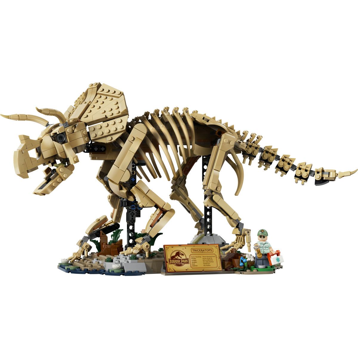 LEGO Jurassic World Fosile Triceratops 77985 | infant.ro - Default Title (2) [ps:c18f455c-3864-4633-b723-1cc60267810e]