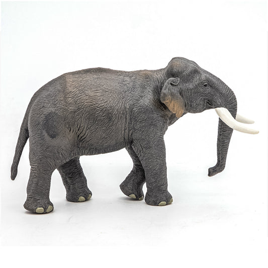 PAPO FIGURINA ELEFANT ASIATIC - Imagine 2