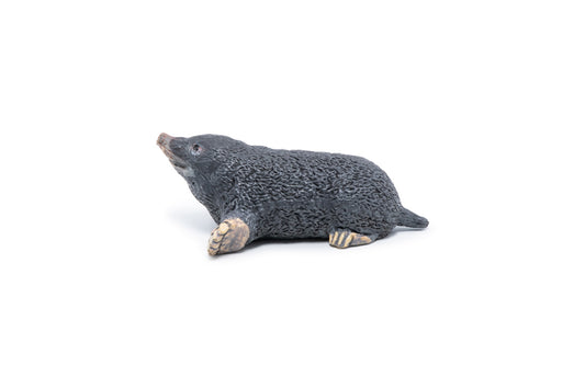 PAPO FIGURINA CARTITA - Imagine 6 [ps:b49d516b-7398-4ff8-9af1-9af869716cf9]