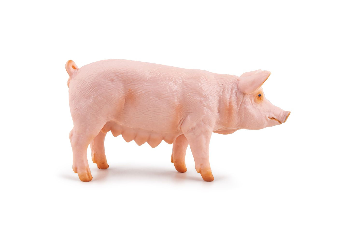PAPO FIGURINA SCROAFA - Imagine 2 [ps:2bc4dbb7-d830-441b-9450-3a2ca31ce8dc]