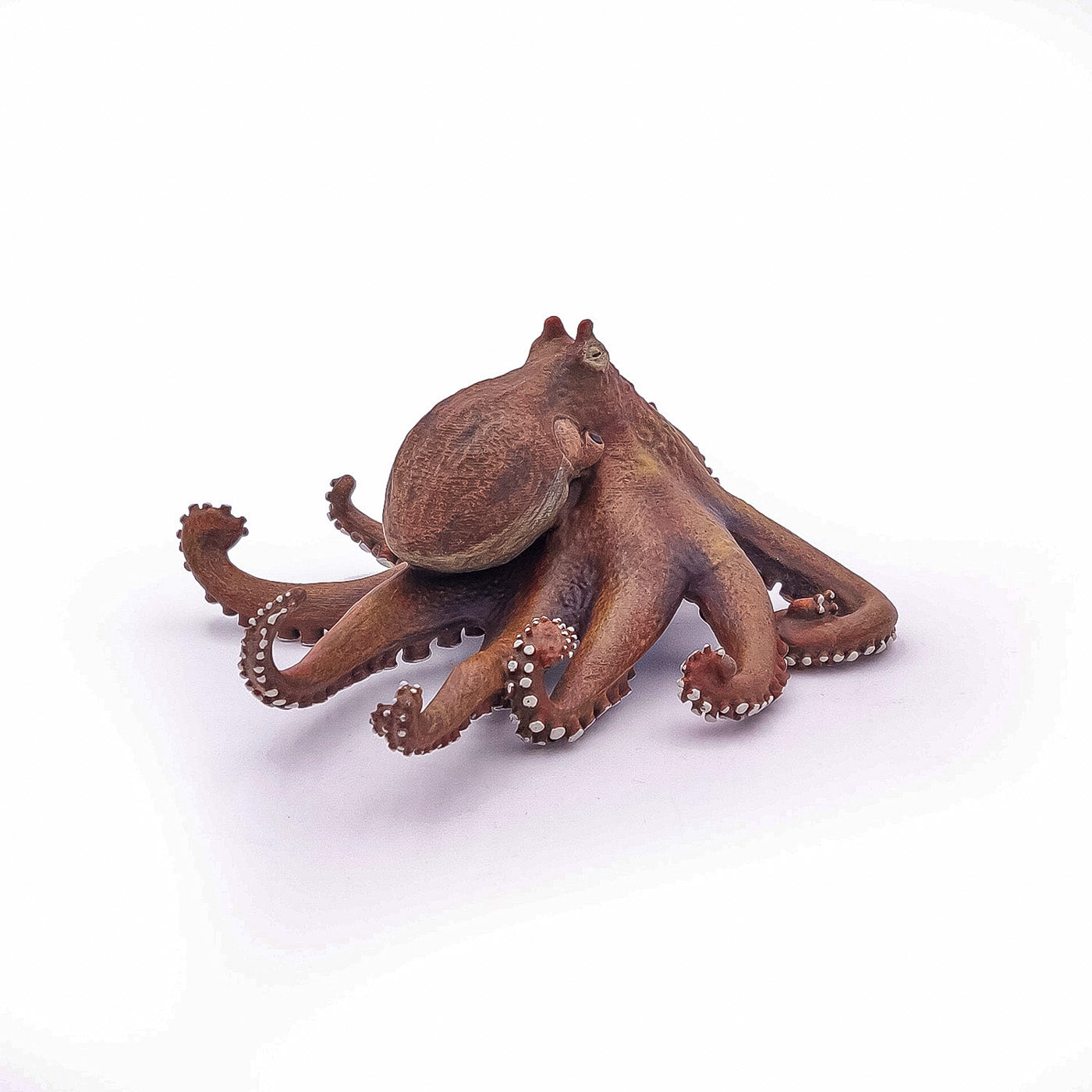 PAPO FIGURINA CARACATITA - Imagine 6 [ps:7f0c3f4d-af7f-4e75-935a-1b29b2f08035]