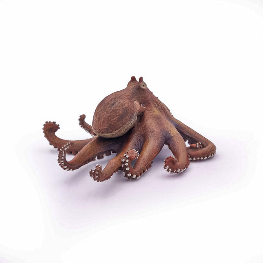 PAPO FIGURINA CARACATITA - Imagine 6 [ps:7f0c3f4d-af7f-4e75-935a-1b29b2f08035]