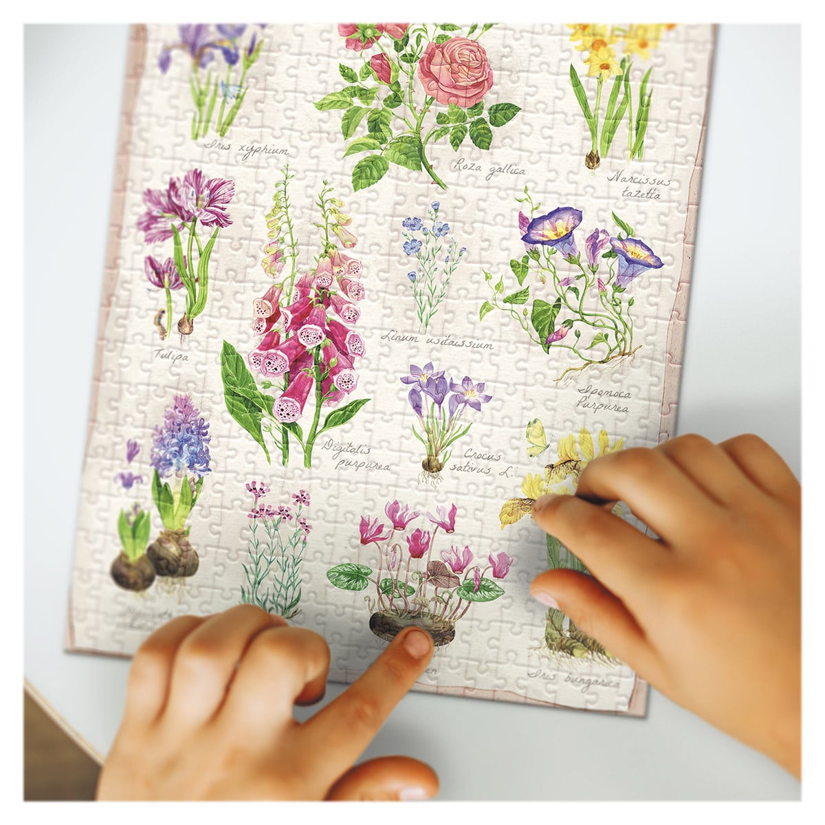 Puzzle Botany Flowers Garden Dodo Toys, 400 piese - Default Title (2) [ps:53509c7e-803c-4535-a76b-f18ddd2ca3b5]